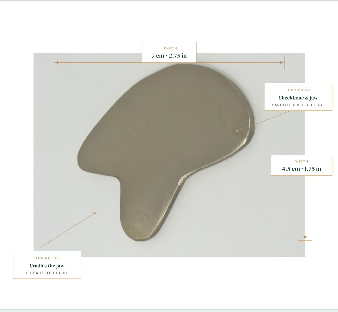 Kansa Gua Sha